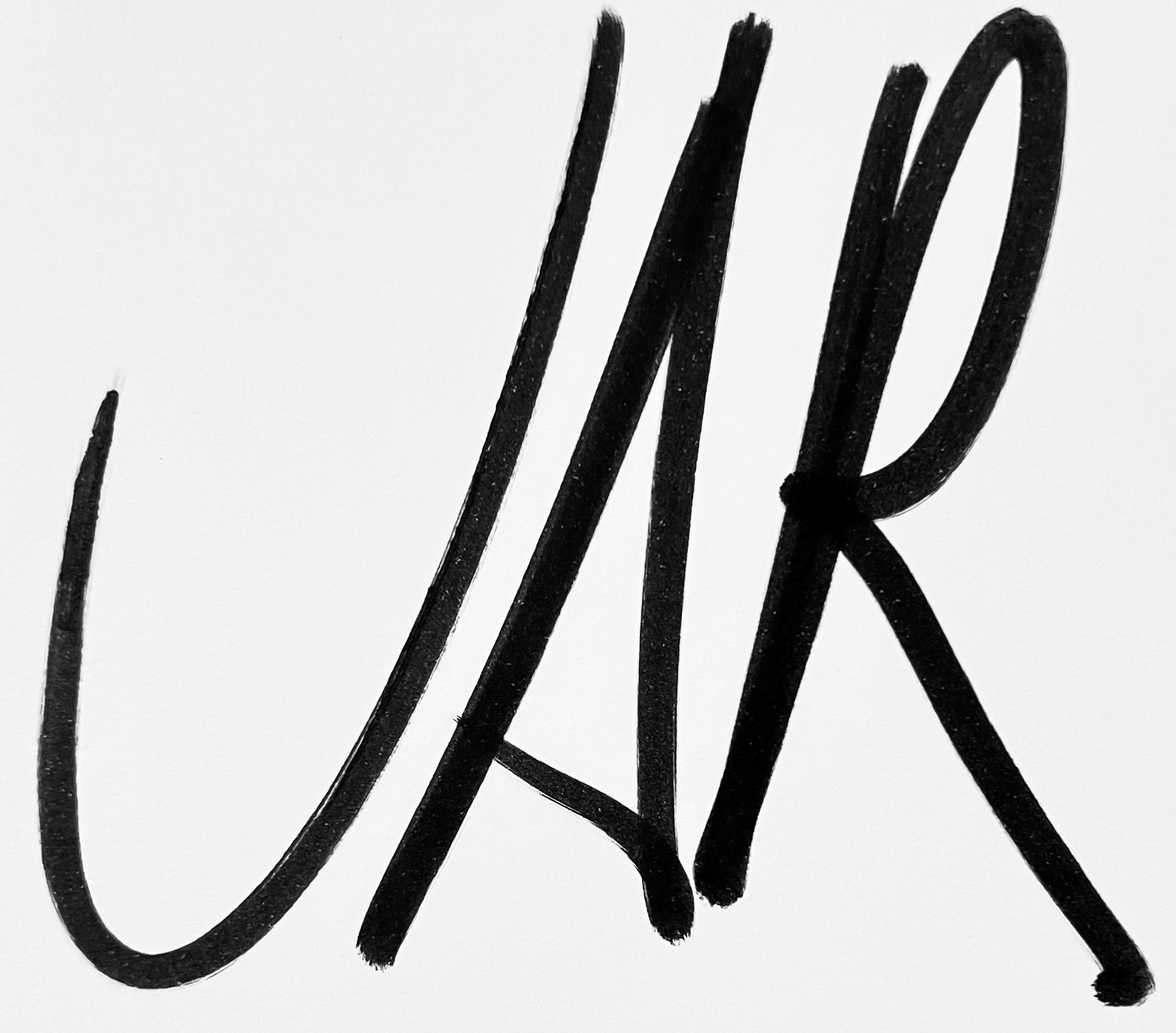 james anderson rogers artist logo