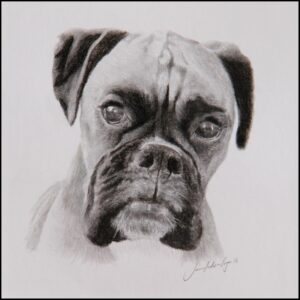 james anderson rogers artist dog