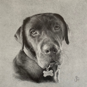 Dog 2
